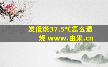 发低烧37.5℃怎么退烧 www.由来.cn